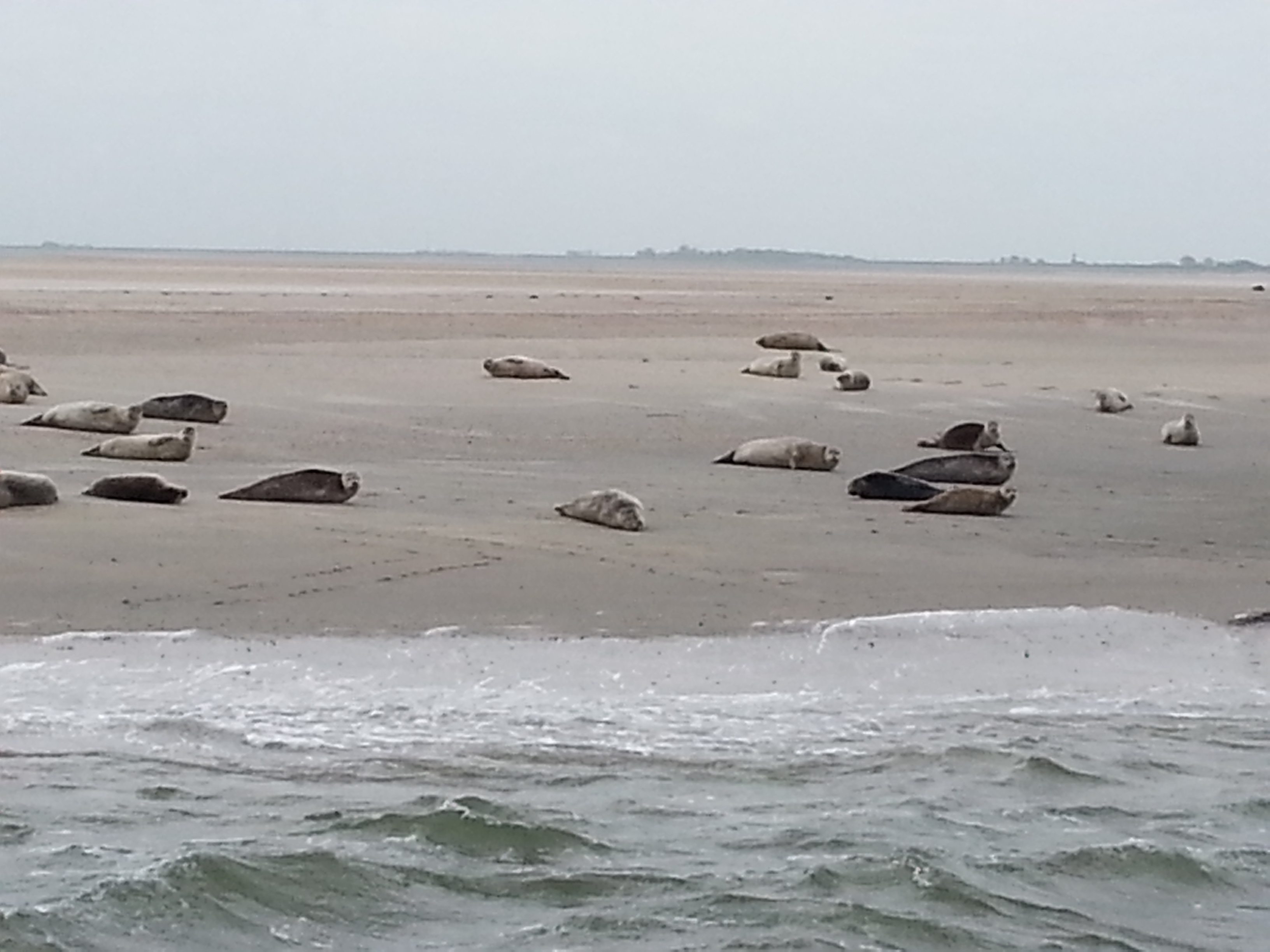 HWK Texel 127.jpg